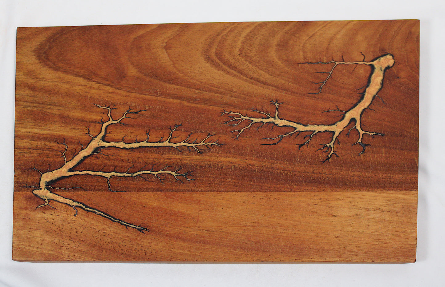 African Teak Lichtenberg Charcuterie Board