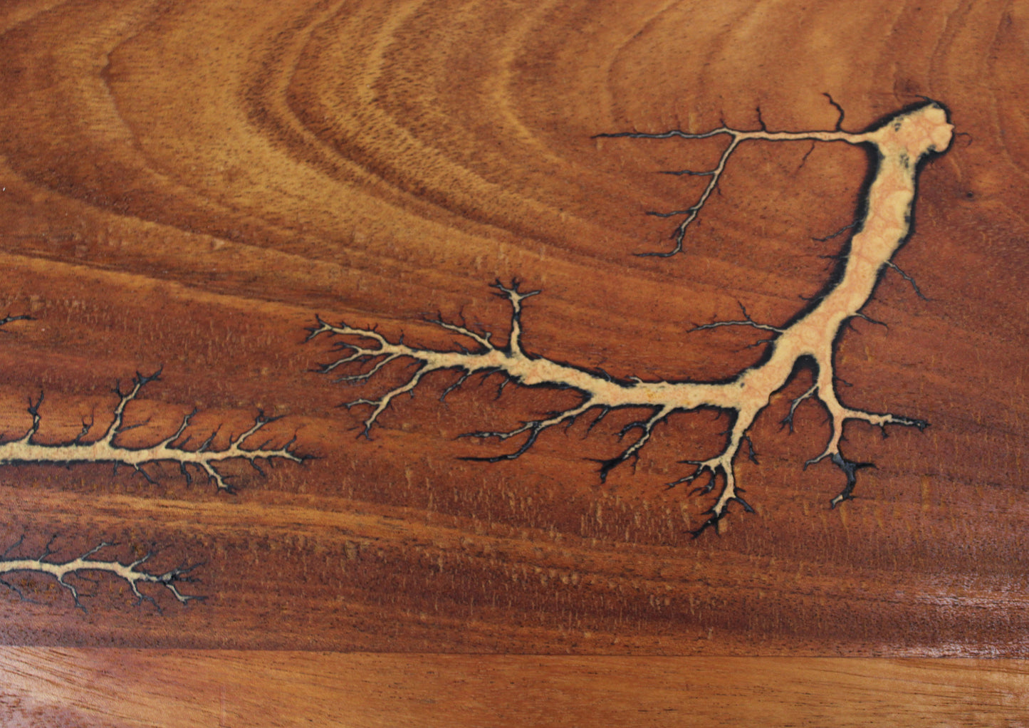African Teak Lichtenberg Charcuterie Board