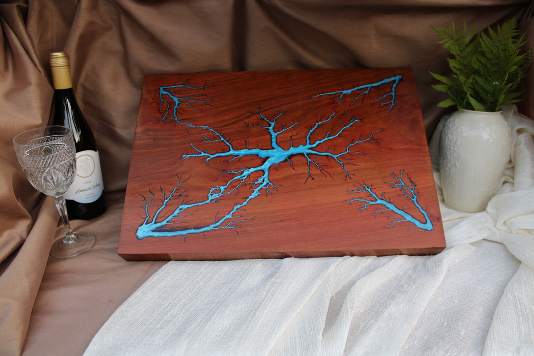 Lichtenberg Collection