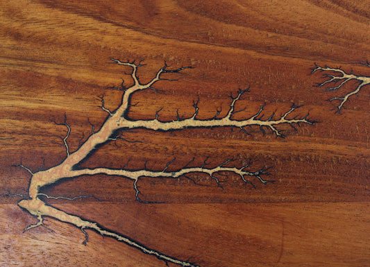African Teak Lichtenberg Charcuterie Board