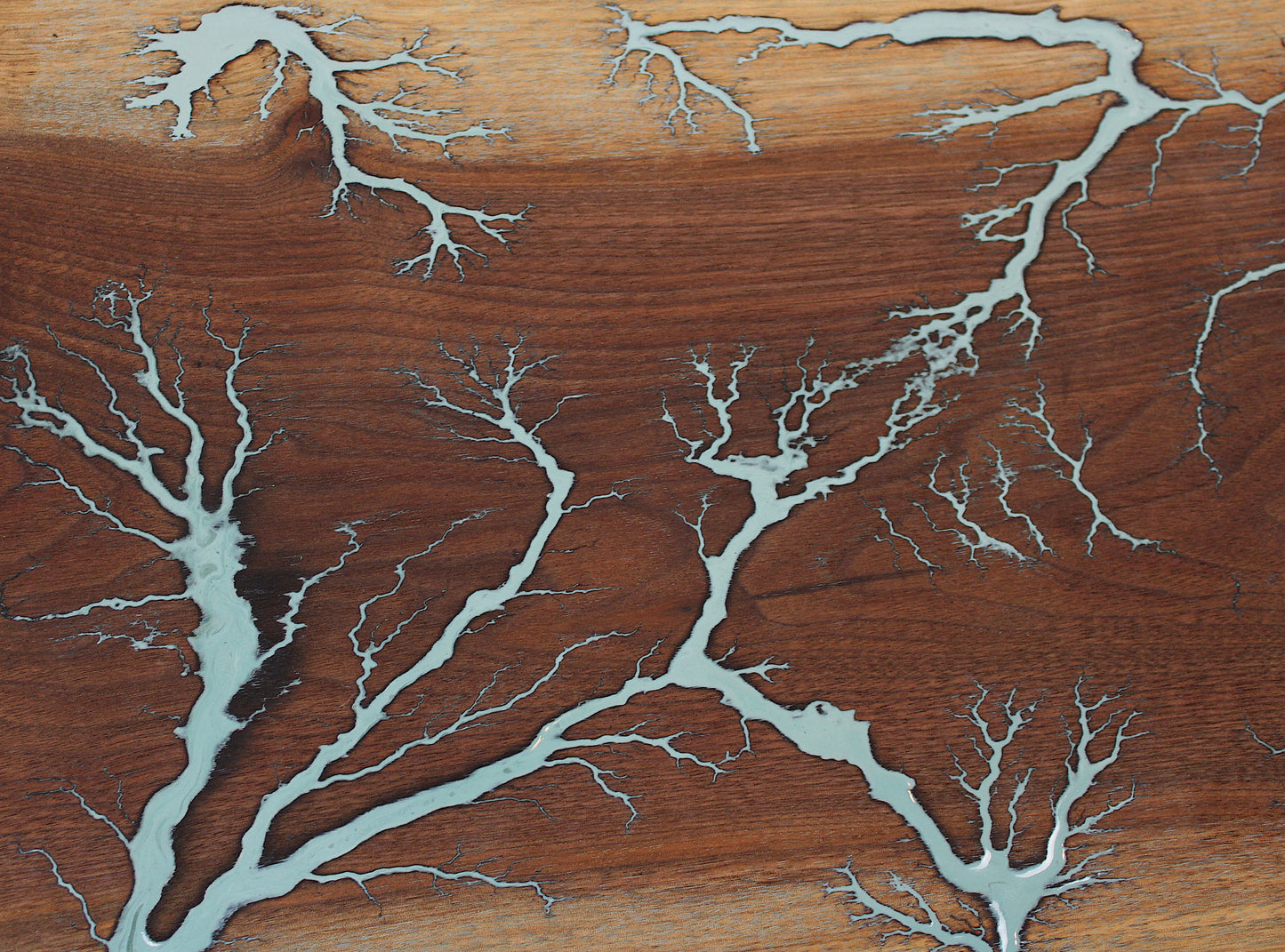 Walnut Lichtenberg Cutting Board